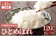 ＜先行予約！2025年10月から発送開始予定＞≪令和7年産≫【12回定期便】ひとめぼれ 計120kg (10kg×12回配送) 登米市産 お米 おこめ 米 コメ 白米 ご飯 ごはん おにぎり お弁当 12か月 頒布会【登米ライスサービス株式会社】tm166