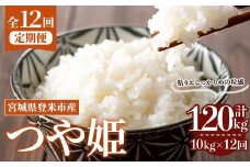 ＜先行予約！2025年10月から発送開始予定＞≪令和7年産≫【12回定期便】つや姫 計120kg (10kg×12回配送) 登米市産 お米 おこめ 米 コメ 白米 ご飯 ごはん おにぎり お弁当 12か月 頒布会【登米ライスサービス株式会社】tm168