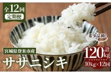 ＜先行予約！2025年10月から発送開始予定＞≪令和7年産≫【12回定期便】ササニシキ 計120kg (10kg×12回配送) 登米市産 お米 おこめ 米 コメ 白米 ご飯 ごはん おにぎり お弁当 12か月 頒布会【登米ライスサービス株式会社】tm170