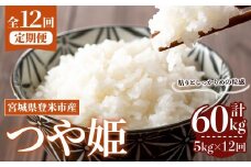 ＜先行予約！2025年10月から発送開始予定＞≪令和7年産≫【12回定期便】つや姫 計60kg (5kg×12回配送) 登米市産 お米 おこめ 米 コメ 白米 ご飯 ごはん おにぎり お弁当 12か月 頒布会【登米ライスサービス株式会社】tm167