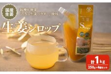 抗酸化野菜 生姜シロップ 計1kg (250g×4個) ジンシャーシロップ ジンジャー ジンジャーエール しょうがシロップ しょうが 生姜 国産生姜 炭酸割り 【株式会社NARIDAヘルスサポート】tm339