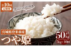 ≪令和7年産≫【10回定期便】つや姫 計50kg(5kg×10回配送) 登米市産 お米 おこめ 米 コメ 白米 ご飯 ごはん おにぎり お弁当 10か月 頒布会【登米ライスサービス株式会社】tm491