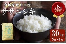 ≪6ヶ月定期便≫ 登米市産 ササニシキ 30kg (5kg×6回) お米 おこめ 米 コメ 白米 ご飯 ごはん おにぎり お弁当 頒布会【有限会社PFTサービス】tm478