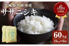 ≪6ヶ月定期便≫ 登米市産 ササニシキ 60kg (10kg×6回) お米 おこめ 米 コメ 白米 ご飯 ごはん おにぎり お弁当 頒布会【有限会社PFTサービス】tm479