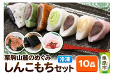 栗駒山麓のめぐみ しんこもち10品セット 餅 もち もちっ小屋でん もちでん 