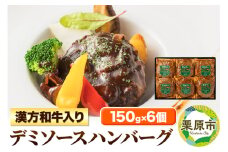 漢方和牛入りデミソースハンバーグ 150g×6個