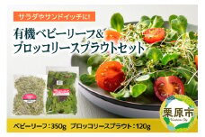 有機ベビーリーフ＆ブロッコリースプラウトのセット 宮城県栗原市産