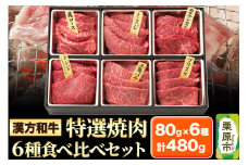 漢方和牛特選焼肉食べ比べセット 80g×6種 計480g 【肩ロース、ミスジ、カタサンカク、トンビ、三角バラ、ブリスケ】牛肉 焼き肉