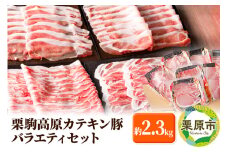 栗駒高原カテキン豚バラエティセット 約2.3kg