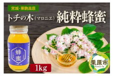 宮城・栗駒高原のトチの木（マロニエ）の純粋蜂蜜 1kg×1本