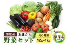 栗原産 お任せ野菜セット（12品～17品）