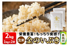 米【玄米】金のいぶき 2kg（1kg×2袋）