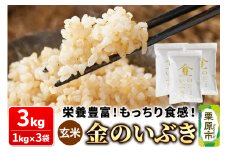 米【玄米】金のいぶき 3kg（1kg×3袋）