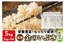 米【玄米】金のいぶき 5kg（1kg×5袋）