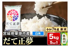 【新米受付】【令和7年産・白米】宮城県栗原市産 だて正夢 5kg (5kg×1袋)