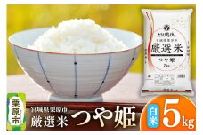 【白米】宮城県栗原市 厳選米 つや姫 5kg