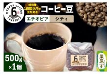 コーヒー豆 エチオピア シティ 500g×1個