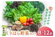くりはら野菜セット（旬のおまかせ詰め合わせ  8～12品 ）