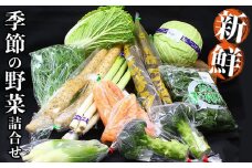 新鮮　季節の野菜　おまかせ詰め合わせセット　宮城県　東松島市　朝採り　野菜　産直