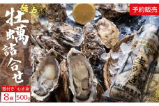 牡蠣 奥松島産 極上 牡蠣 宮城県【2025年シーズン開始】 11月中旬頃から順次発送予定  極上カキ 詰合せ むき身500g1本＋殻付きカキ8個 かき カキ 殻付き 剥き身