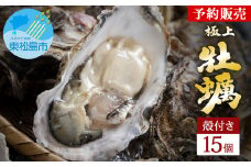牡蠣 奥松島産 極上 殻付き 牡蠣 宮城県【2025年シーズン受付開始】11月中旬頃から順次発送予定 かき カキ 15個 加熱用 極上殻付き牡蠣