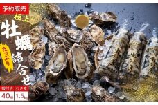 牡蠣 奥松島産 極上 殻付き 牡蠣 宮城県【2025年シーズン開始】 11月中旬頃から順次発送予定 奥松島産極上カキ たっぷり詰合せセット むき身 500g×3本(合計1.5kg)＋殻付きカキ40個 かき カキ 殻付き 剥き身 詰合せ