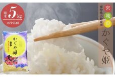 【令和6年産】 新米 12月上旬 発送開始 宮城県産 超稀少品種 かぐや姫 精米 5kg 宮城県 東松島市 天授のお米 米 白米 こめ 宮城県 東松島市 オンラインワンストップ 対応 自治体マイページ