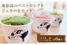 ジェラート 東松島のベストセレクト ジェラート 6個セット アイス 詰め合わせ ミルク シャーベット 宮城県 東松島市 オンラインワンストップ 自治体マイページ