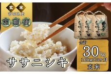 【令和6年産】 【新米】 ササニシキ（玄米）合計30kg 10kg 3ヵ月定期便（10kg×3回） 【定期便】 宮城県 東松島市 オンラインワンストップ 対応 自治体マイページ ささにしき  F