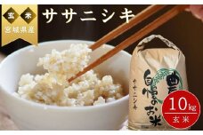 【令和6年産】 【新米】 ササニシキ（玄米）10kg 宮城県 東松島市 ささにしき 米 玄米 お米 おこめ オンラインワンストップ 自治体マイページ E