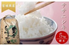 【令和6年産】 【新米】 ササニシキ（精米）5kg 宮城県 東松島市 ささにしき 米 精米 白米 お米 おこめ オンラインワンストップ 自治体マイページ B
