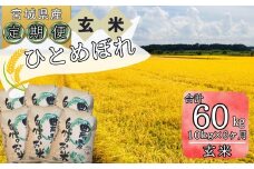 【令和6年産】 【新米】 （玄米）合計60kg 10kg 6ヵ月定期便（10kg×6回） 【定期便】宮城県 東松島市 ヒトメボレ 米 玄米 お米 おこめ オンラインワンストップ 自治体マイページ  O