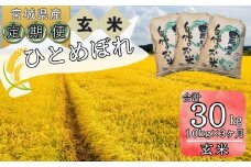【令和6年産】 【新米】  ひとめぼれ（玄米）合計30kg 10kg 3ヵ月定期便（10kg×3回） 【定期便】宮城県 東松島市 ヒトメボレ 米 玄米 お米 おこめ オンラインワンストップ 自治体マイページ  N