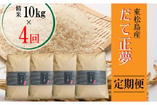【令和6年産 】 【新米】 だて正夢（精米） 合計40kg 全4回 （10㎏×4回) 【定期便】 宮城県産 だて正夢 だてまさゆめ ダテマサユメ 東松島市 米 精米 白米 お米 おこめ オンラインワンストップ 自治体マイページ 【53】