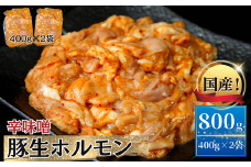 国産 豚 生ホルモン 辛味噌味 800g（400g×2パック） 冷凍 小分け 味付 簡単 調理 豚ホルモン ブタホルモン ホルモン 焼肉 おつまみ バーベキュー BBQ 宮城県 東松島市 オンラインワンストップ 対応 自治体マイページ 佐利 AB