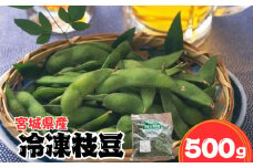 宮城県産冷凍枝豆 500g 返礼品 枝豆 えだまめ エダマメ 豆 特産品 おつまみ ずんだ 晩酌 ビール 食品 冷凍 東松島市 宮城県