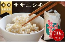 【チョイス先行受付開始】【 令和7年産米先行予約】 【2025年10月中旬～下旬順次発送予定】 ササニシキ 玄米 30kg × 1袋 ささにしき 米 ご飯 ごはん おにぎり お弁当 令和7年産 お米 おこめ 宮城県 東松島市 オンラインワンストップ 自治体マイページ ㈱パスカファーム立沼 H