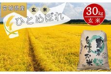 【チョイス先行受付開始】【 令和7年産米先行予約】 【2025年10月中旬～下旬順次発送予定】  ひとめぼれ 玄米 30kg × 1袋 ヒトメボレ 米 玄米 お米 おこめ 宮城県 東松島市 オンラインワンストップ 自治体マイページ ㈱パスカファーム立沼 P