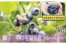 (03753)無農薬無化学肥料栽培 鳴子・中山平温泉産ブルーベリー1kg