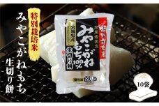 (10004)【特別栽培米生産者限定】宮城県産みやこがねもち100％生切り餅10袋