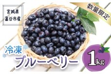 2025年富谷市産 冷凍ブルーベリー1kg｜ブルーベリー 冷凍便 特産品 果実 スイーツ デザート ヨーグルト ジャム ジュース 果物 ギフト 贈答 贈り物 令和7年産 [0226]