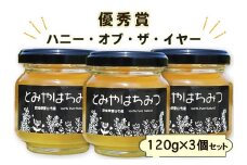 2025年採蜜 とみやはちみつ 120g×3個セット｜令和7年 国産 富谷 蜂蜜 はちみつ ハチミツ 瓶 [0283]