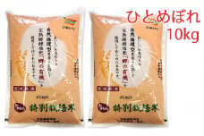 令和5年産 富谷市産 郷の有機使用 特別栽培米 ひとめぼれ 10kg｜宮城産 米 精米 白米 ごはん [0188]