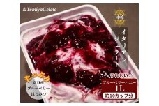 [＆とみやジェラート] ブルーベリーハニー 1000ml｜アイス スイーツ 仙台 富谷 とみやど 牧場 デザート イタリアンジェラート [0201]