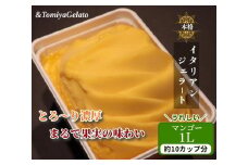 [＆とみやジェラート] マンゴー 1000ml｜アイス スイーツ 仙台 富谷 とみやど 牧場 デザート イタリアンジェラート [0202]