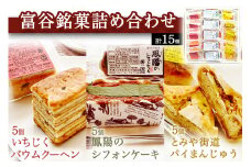 富谷銘菓詰合せ「いちじくバウムクーヘン」「とみや街道 パイ万頭」「鳳陽のシフォンケーキ」｜国産 和菓子 洋菓子 焼菓子 セット 宮城 仙台 老舗 銘菓 いさわ屋 バウムクーヘン まんじゅう 饅頭 シフォンケーキ ギフト 贈答 お中元 お歳暮 [0284]