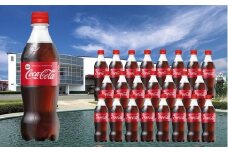 【10か月連続お届け】コカ・コーラ　500ml PET×24本　【04301-0034】