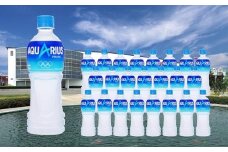 【10か月連続お届け】アクエリアス　500ml PET×24本　【04301-0042】