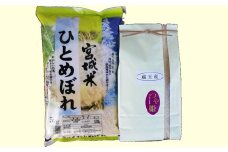 ＜令和６年産米＞蔵王産米2種食べ比べセット計10kg（つや姫5kgひとめぼれ5kg）　【04301-0133】