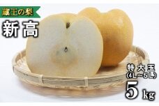 【先行予約】蔵王の新高梨約5kg 特大玉(4～5L程度）　【04301-0141】